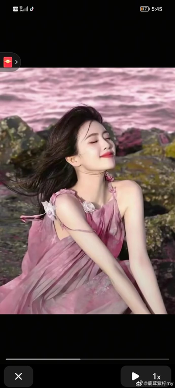 91免费网址应用主界面展示